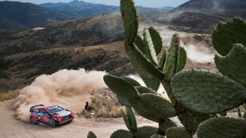 WRC Rally Messico 2023 orari
